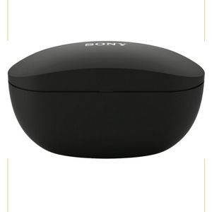 Sony Headphone/earbuds